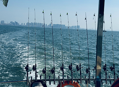 2024年9月公司帶領部分伙伴海釣??